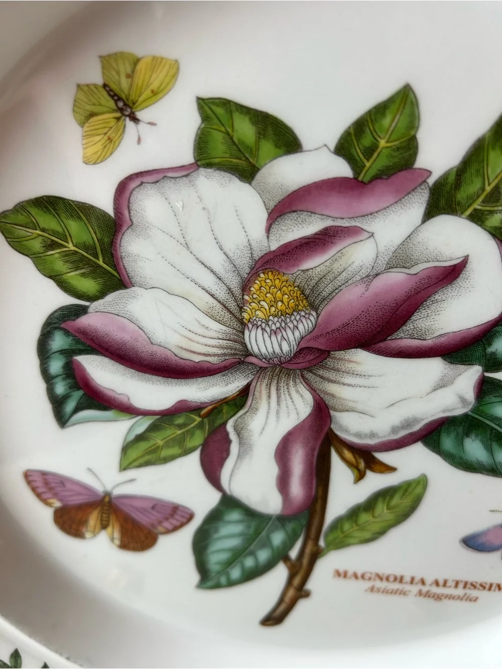 PORTMEIRION BOTANIC GARDEN 10.5